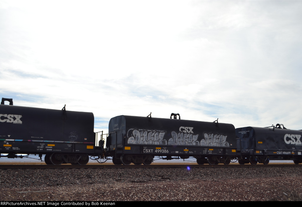 CSXT 499386